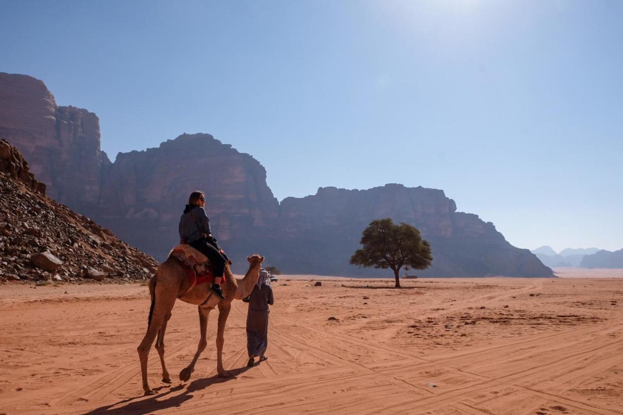 Wadi Rum Bedouin Camp And Desert Tours Екстер'єр фото