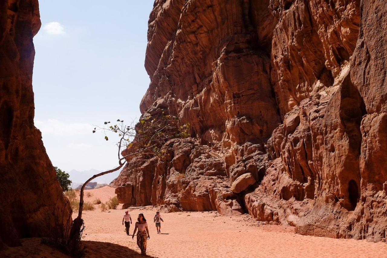 Wadi Rum Bedouin Camp And Desert Tours Екстер'єр фото