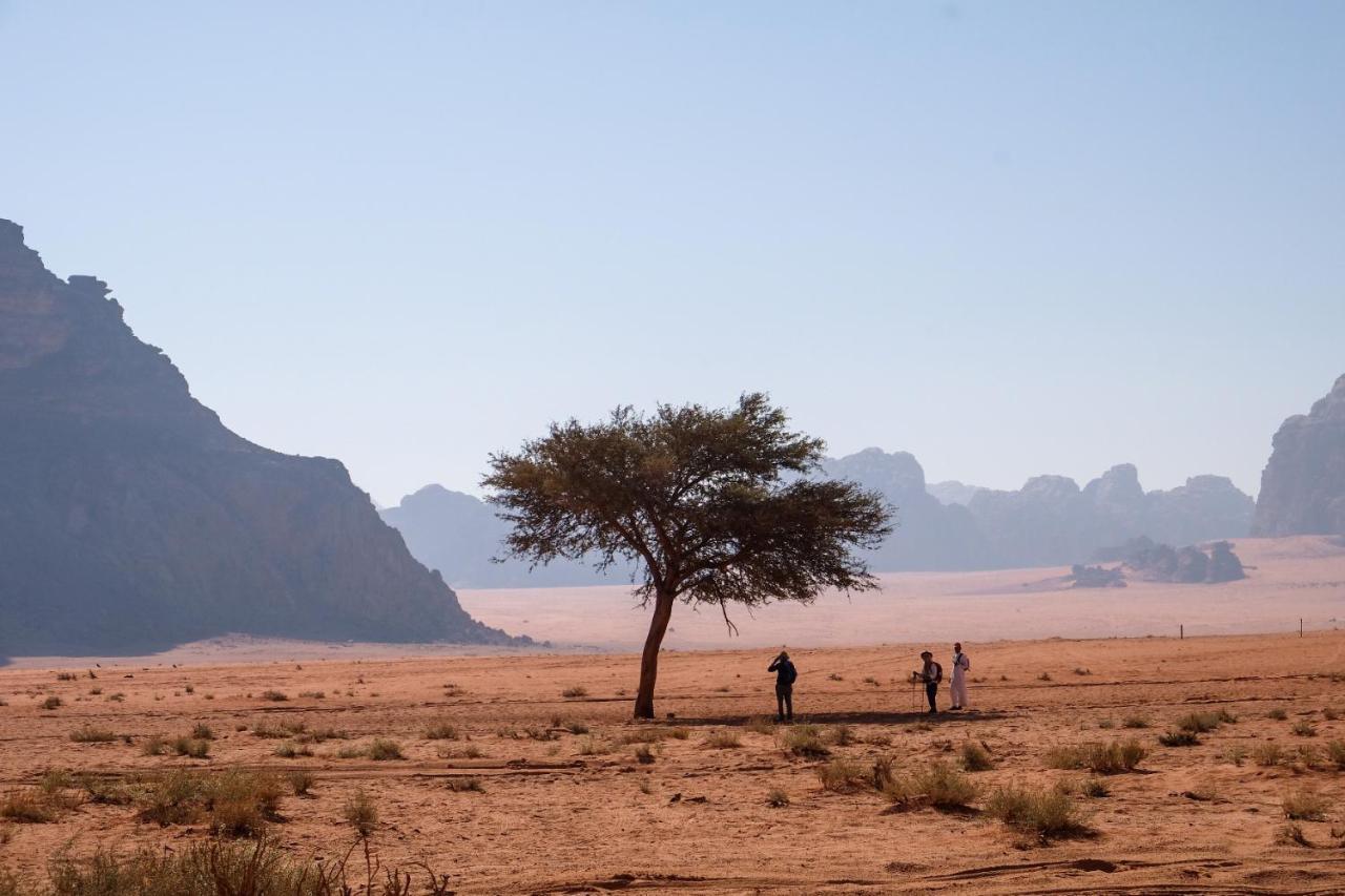 Wadi Rum Bedouin Camp And Desert Tours Екстер'єр фото